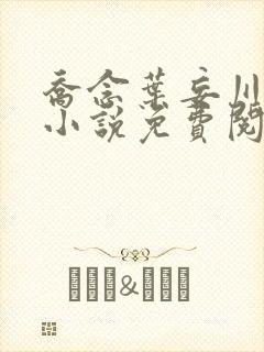 乔念叶妄川正版小说免费阅读