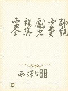 电视剧少帅48全集免费观看在线云