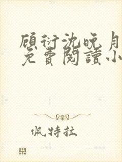 顾衍沈晚月全文免费阅读小说