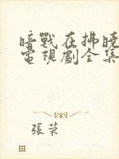 暗战在拂晓之前电视剧全集免费