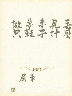 做梦梦见丢了一只鞋子什么预兆