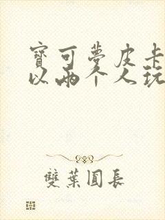 宝可梦皮卡丘可以两个人玩吗