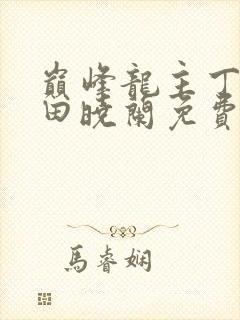 巅峰龙主丁长顺田晓兰免费阅读