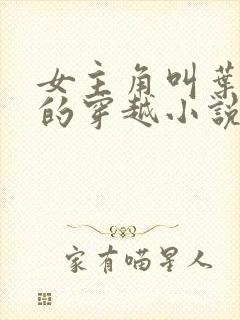 女主角叫叶青璃的穿越小说