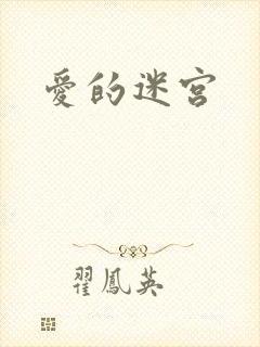 爱的迷宫封面