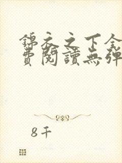 锦衣之下全文免费阅读无弹窗封面