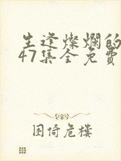 生逢灿烂的日子47集全免费观看