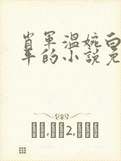 肖军温婉白柔王平的小说免费阅读封面