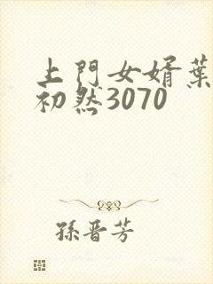 上门女婿叶辰萧初然3070