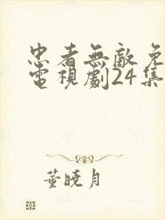 忠者无敌免费版电视剧24集播放