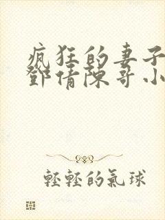 疯狂的妻子林瑶邓倩陈哥小说