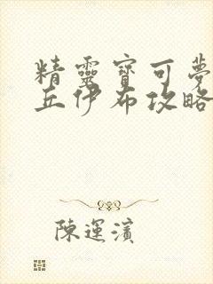 精灵宝可梦皮卡丘伊布攻略