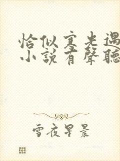 恰似寒光遇骄阳小说有声听书免费