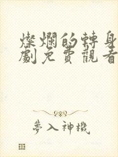 灿烂的转身电视剧免费观看全集