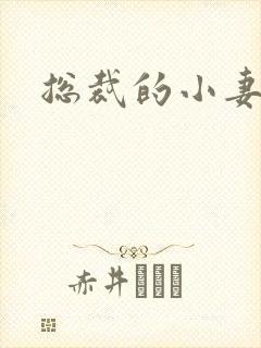 总裁的小妻子封面