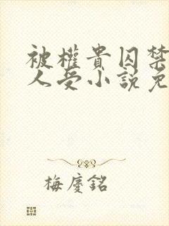 被权贵囚禁的美人受小说免费阅读下封面