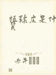 植鞣皮是什么皮质