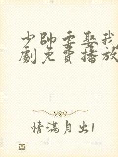 少帅要娶我电视剧免费播放