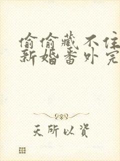 偷偷藏不住番外新婚番外完整