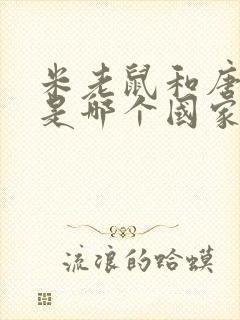 米老鼠和唐老鸭是哪个国家的动画片