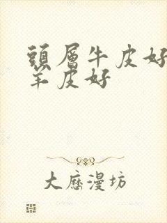 头层牛皮好还是羊皮好封面