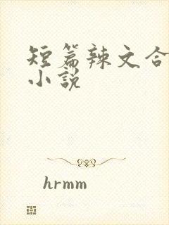 短篇辣文合集 小说