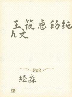 王筱惠的纯肉高h文