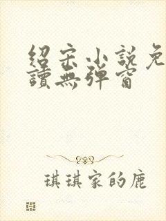 绍宋小说免费阅读无弹窗