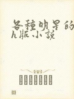 各种明星的综艺h版小说封面