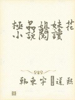 极品姐妹花陈刚小说阅读封面