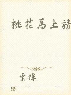 桃花马上请长缨封面