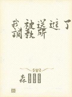 我被送进了私奴调教所