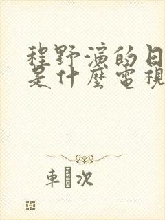 程野演的日本人是什么电视剧
