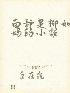 白静是柳如烟妈妈的小说