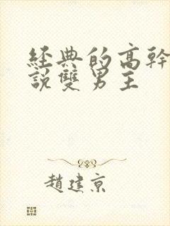 经典的高干文小说双男主