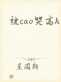 被cao哭高h