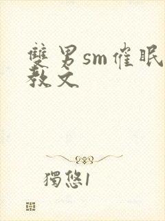 双男sm催眠调教文封面