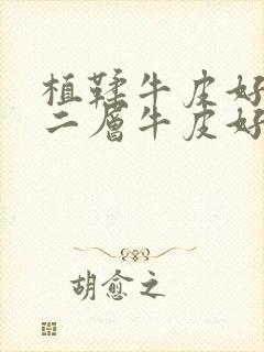 植鞣牛皮好还是二层牛皮好