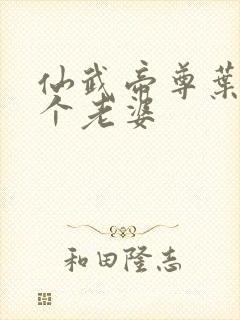 仙武帝尊叶辰几个老婆