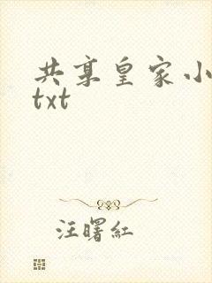 共享皇家小公主txt