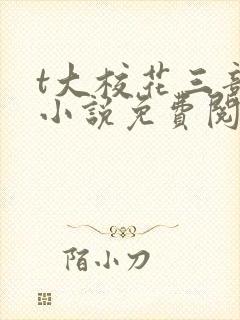 t大校花三部曲小说免费阅读全文