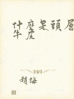 什么是头层植鞣牛皮