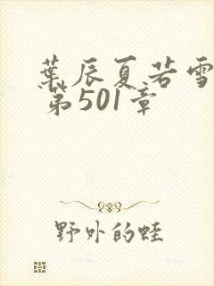 叶辰夏若雪孙怡 第501章