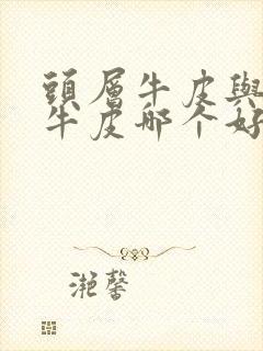 头层牛皮与二层牛皮哪个好