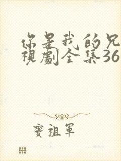 你是我的兄弟电视剧全集36集