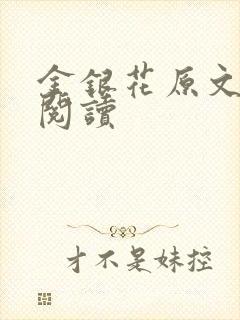 金银花原文免费阅读封面