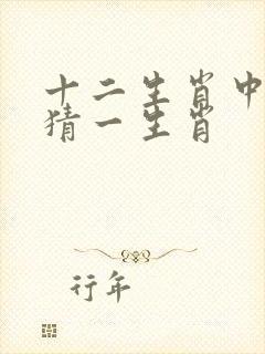 十二生肖中一个猜一生肖