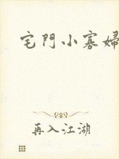 宅门小寡妇