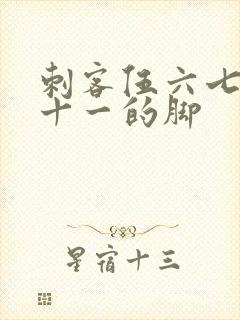 刺客伍六七梅花十一的脚