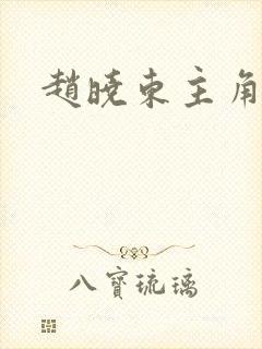 赵晓东主角小说